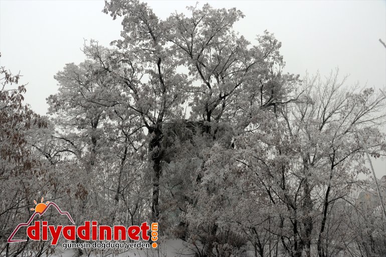 Ağrı da soğuk hava etkisini sürdürüyor5