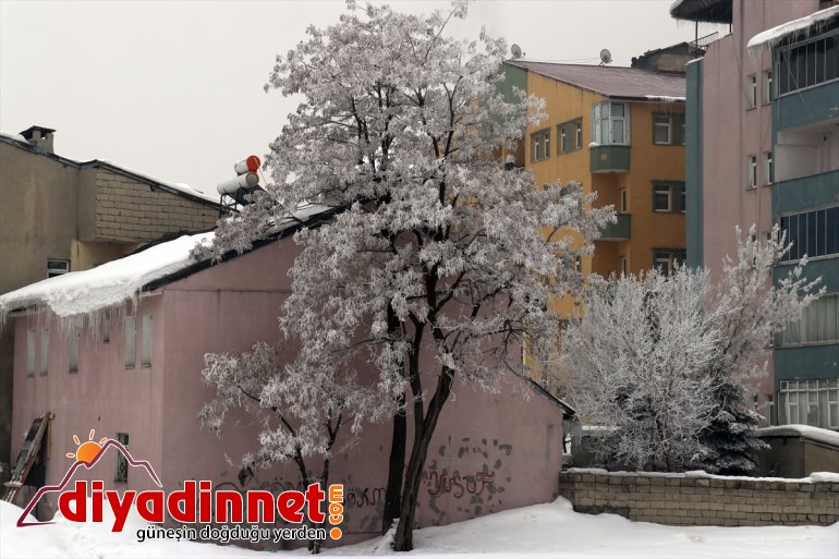 Ağrı da soğuk hava etkisini sürdürüyor7