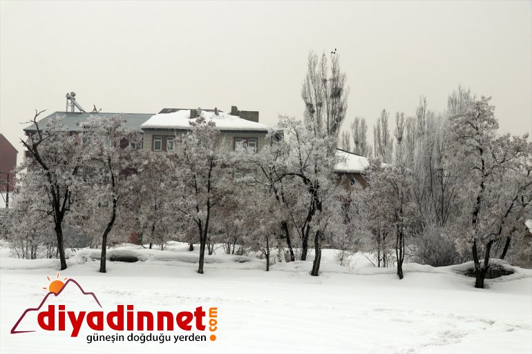 Ağrı da soğuk hava etkisini sürdürüyor10