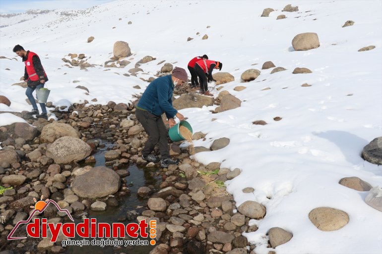 bırakıldı ton yem Ağrı