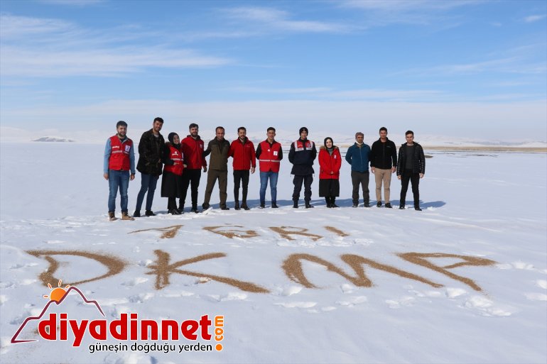 bırakıldı bir yaban ton yem doğaya hayvanları Ağrı