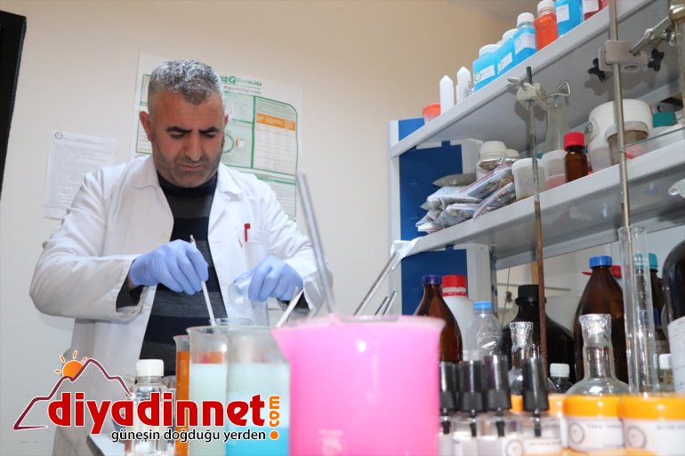 eteğindeki yetiştirildi lavanta Ağrı volkanik değerli Dağı arazide yüksek 1