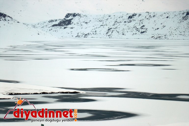 buzla kaplandı Ağrı