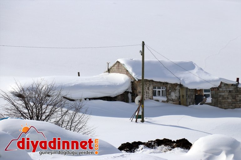 gömüldüğü zorlu kara yaşam geçiyor - AĞRI Ağrı