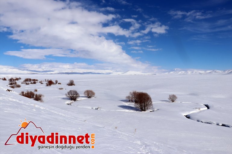 dron görüntülendi karla Ağrı