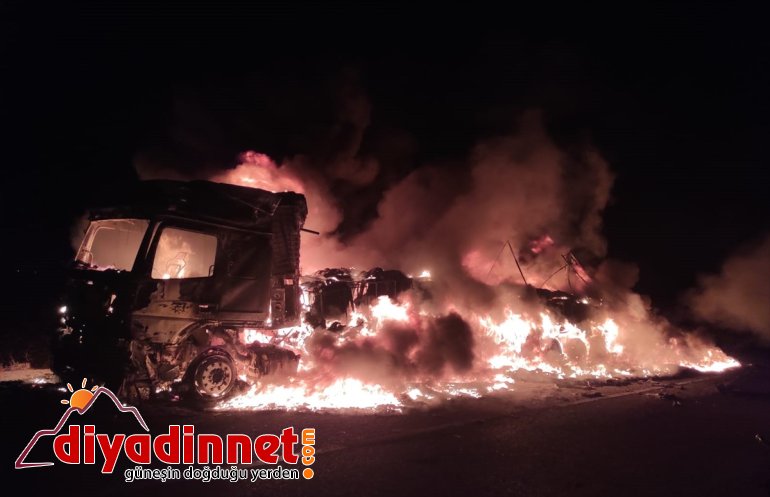 Ağrı'da park halindeki tır yandı