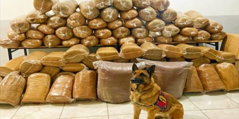 Bingöl'de 650 kilogram kaçak tütün ele geçirildi