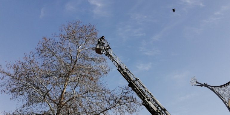Erzincan'da ağaç dalına takılı kalan kargayı itfaiye kurtardı
