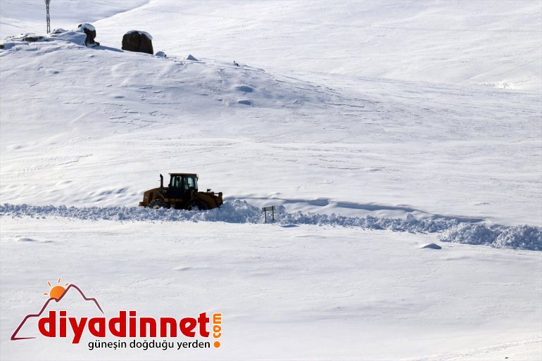 Ağrı'da kapalı köy yolları açıldı