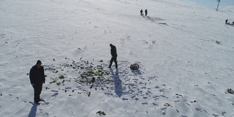 'Doğanın bekçileri' Doğu'da yaban hayatını korumak için karlı arazide iz sürüyor