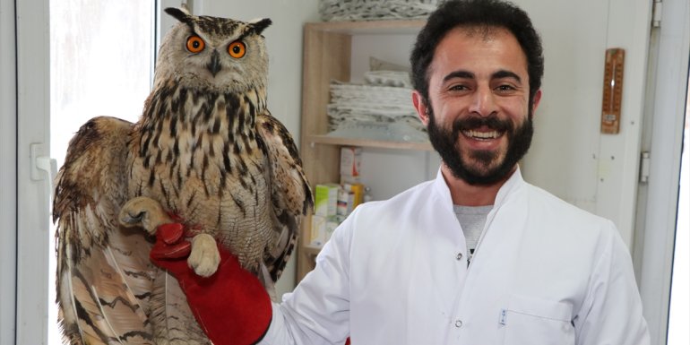 ERZURUM - Yaban hayvanlarına şifa dağıtmak için gece gündüz mesai yapıyor (2)1