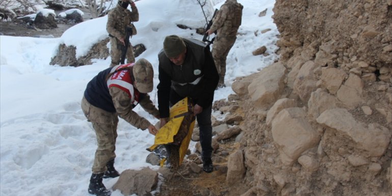 Hakkari'de yaban hayvanları için doğaya yem bırakıldı