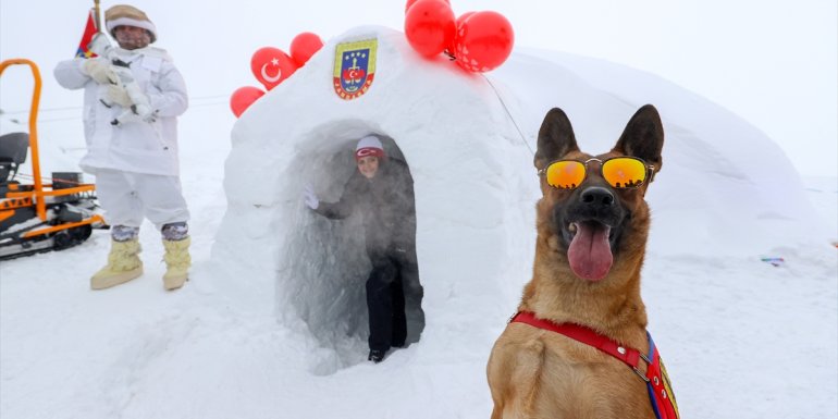 Hakkari'de jandarma ve polisin yaptığı iglolar kar festivalini renklendirdi