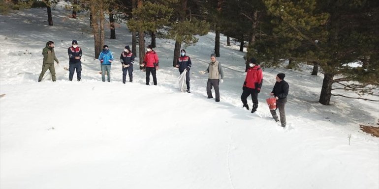 Mehmetçik ve doğa koruma görevlileri yaban hayatı için doğaya yem bıraktı