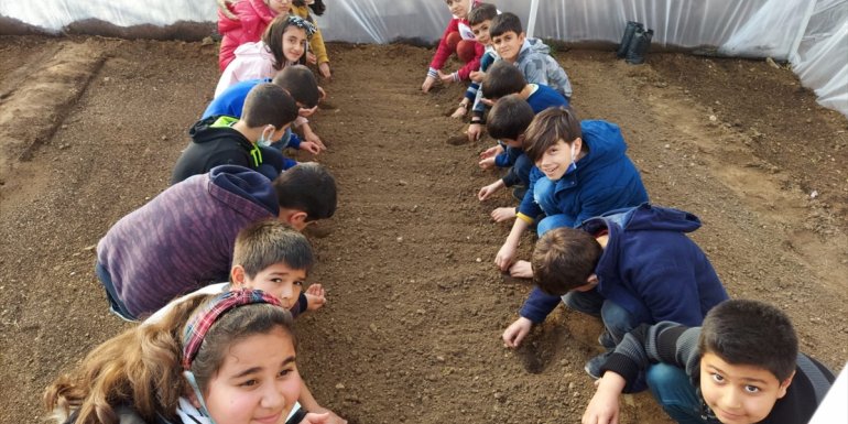 Keban'da öğrenciler okullarında oluşturulan seraya tohum ekti