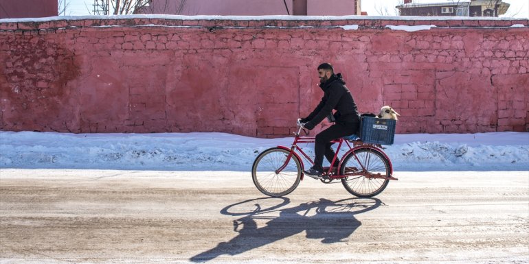 Köyden hediye gönderilen kuzuyu "yorulmasın" diye bisikletiyle taşıdı
