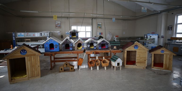 Meslek lisesi öğrencileri sevimli dostlar için kulübe yaptı1