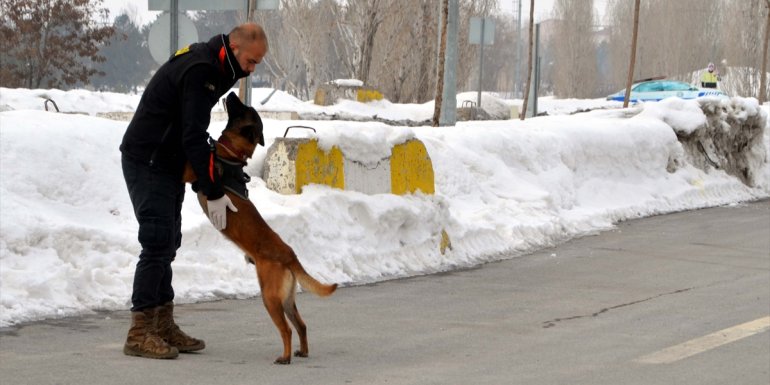 Muş'ta dedektör köpekler uyuşturucuyla mücadelede polise destek veriyor