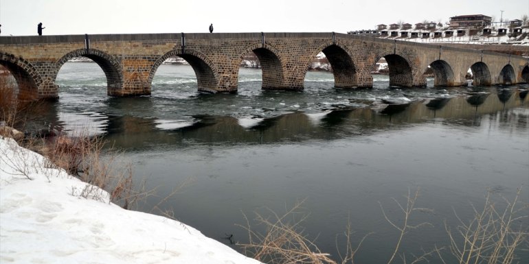 MUŞ - Etkili olan yağışlar çiftçi ve besicileri sevindirdi1