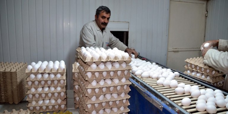 KDV'nin düşürülmesi Muş'taki yumurta üreticilerini sevindirdi