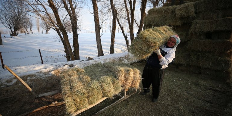 Muş'ta köylerde yaşayan kadınlar "hayatın yükünü" omuzluyor