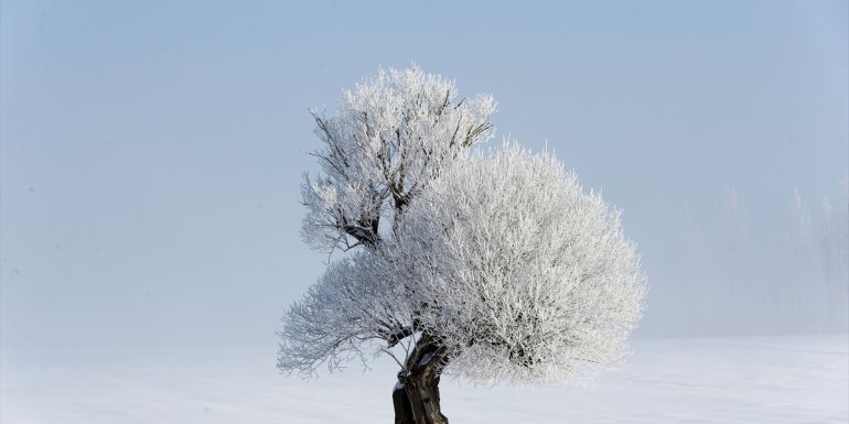Van, Hakkari, Muş ve Bitlis'te 53 yerleşim yerine ulaşım sağlanamıyor