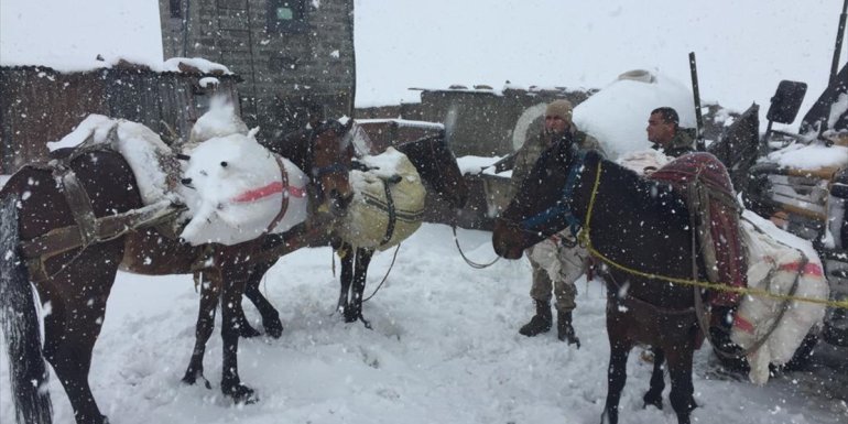 İran'dan Van'a atlarla getirilmeye çalışılan çok sayıda av tüfeği ele geçirildi