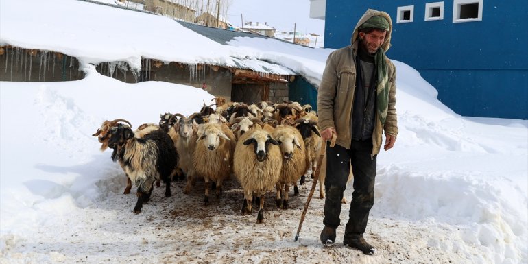 Kuraklıktan etkilenen Vanlı besicileri kar yağışı sevindirdi