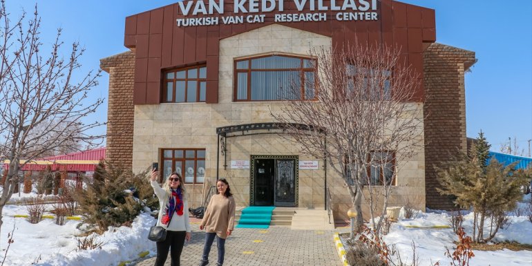 Van kedisi, Dünya Kediler Günü'nde de ilgi odağı oldu