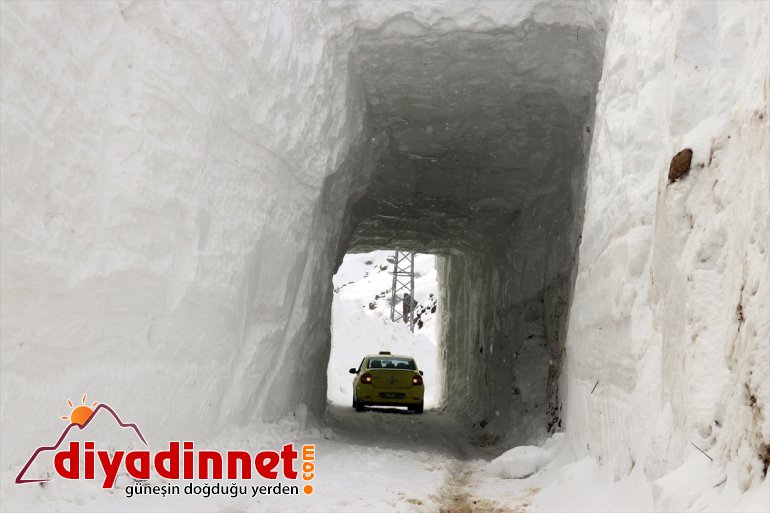 Ağrı'da çığ düşen köy yolunda ulaşım 'kardan tünel' ile sağlanıyor