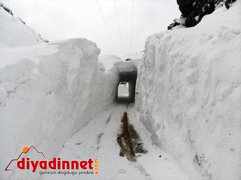 sağlanıyor düşen ulaşım köy AĞRI kardan Çığ tünel yolunda ile - 5