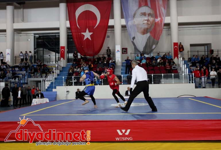 Şampiyonası Türkiye Ağrı