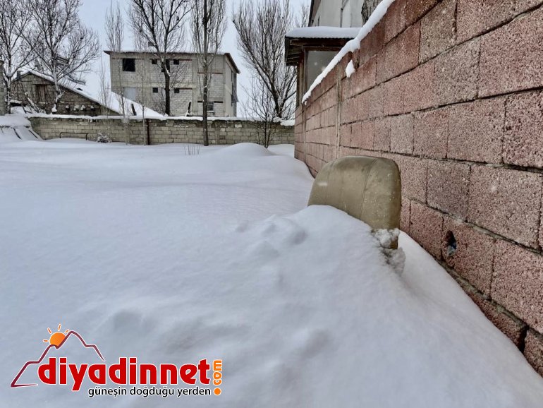 Ağrı ilkbaharda yeniden beyaza büründü8