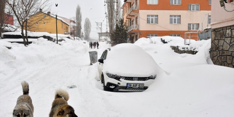 AĞRI - Kar ve soğuk hava etkili oluyor1