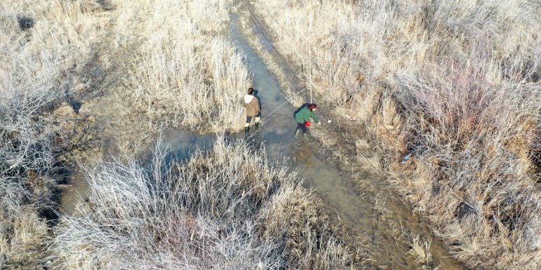 Aras Kuş Cenneti'nde geçen yıl sonbaharda 94 türden 7 bin kuş halkalandı