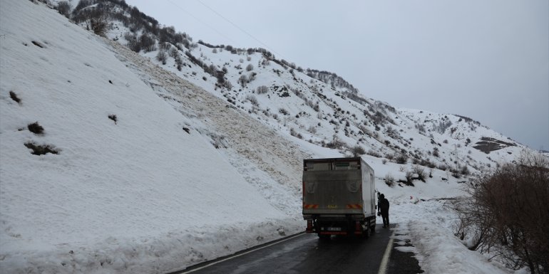 Bingöl'de Karlıova-Yedisu kara yoluna kamyonetin geçtiği sırada çığ düştü