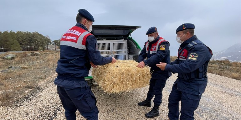 Jandarma kış aylarının çetin geçtiği dağlarda yaban hayvanlarını aç bırakmıyor