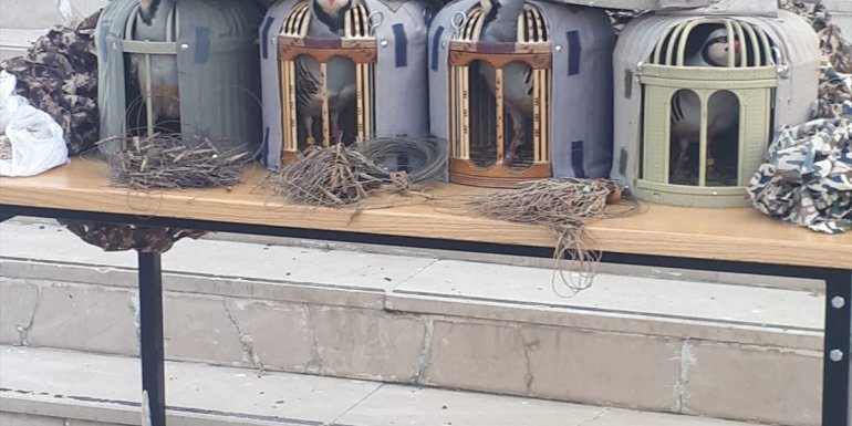 Erzincan'da kaçak keklik avlayan 4 kişiye para cezası kesildi