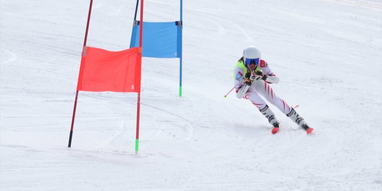 ERZURUM - Alp Disiplini Türkiye Şampiyonası başladı1