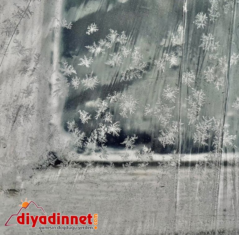 Kar tanelerinden görsel şölen1