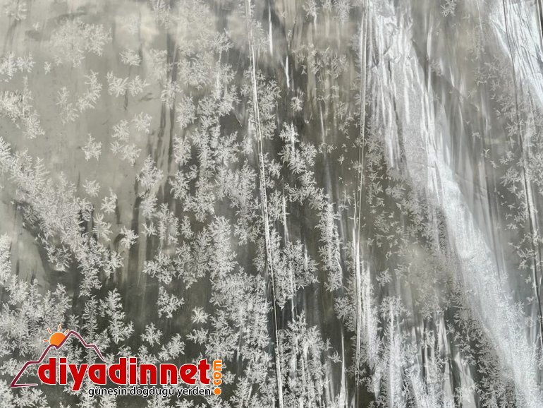 Kar tanelerinden görsel şölen2