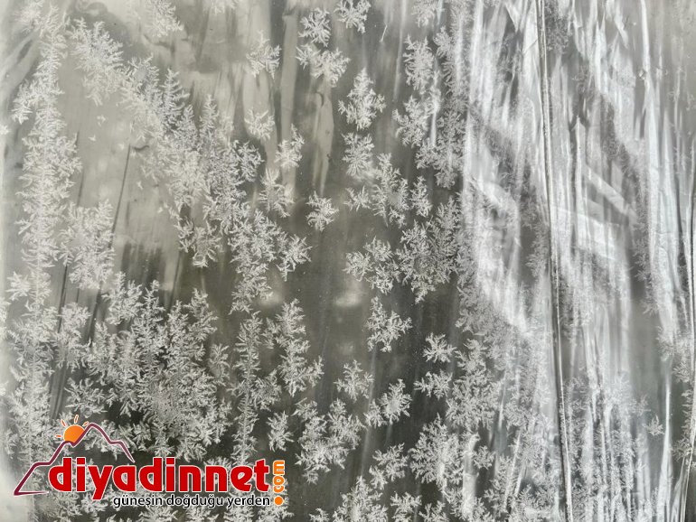 Kar tanelerinden görsel şölen3