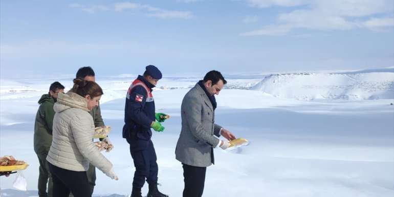Kars'ta yaban hayvanları için doğaya saman, et ve buğday bırakıldı