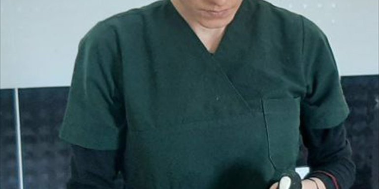 Kars'ta yaralı bulunan sakarmeke tedaviye alındı