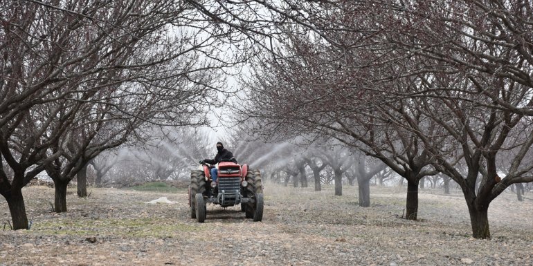 Malatyalı kayısı üreticileri, tarım danışmanlarının rehberliğinde sezona hazırlanıyor