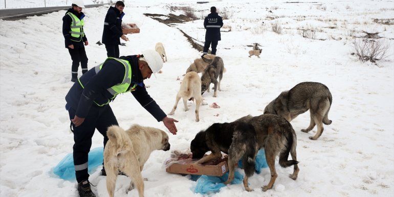 Muş'ta elektrik arıza ekipleri yaban hayvanları için doğaya yiyecek bıraktı
