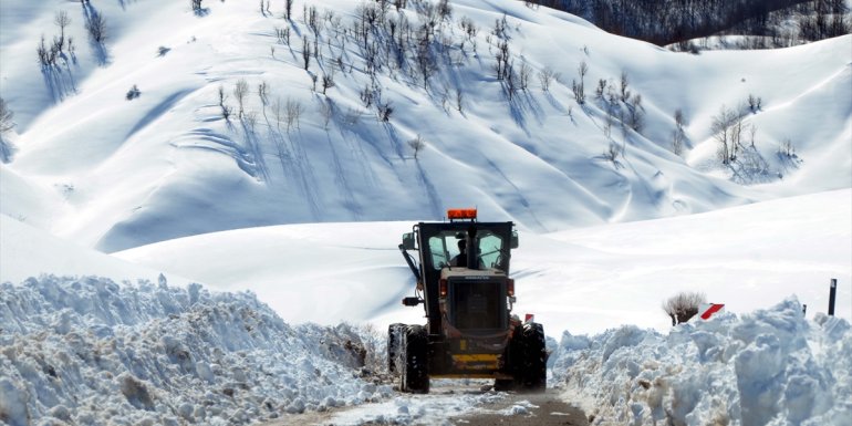 Van, Muş, Bitlis ve Hakkari'de 172 yerleşimin yolu kardan kapandı