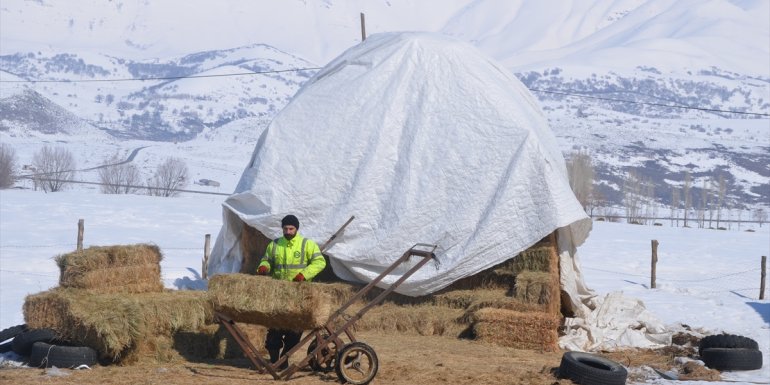 Muş'ta besiciler hayvanlarını kar üstünde beslemeye devam ediyor