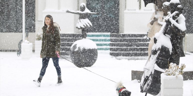 Muş ta kar yağışı1