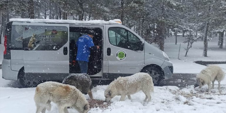 Tatvan'da hayvanlar için doğaya yem bırakıldı